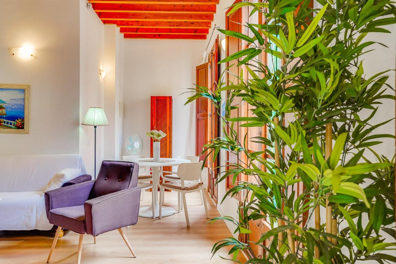 Appartement - Ti Palma