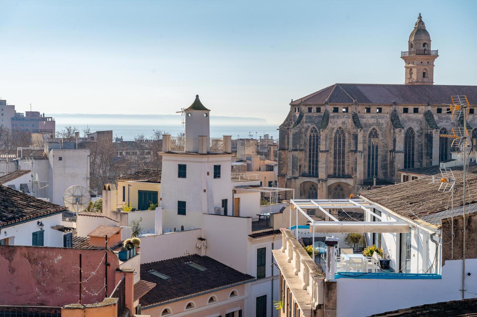 - Ti Palma de Maiorca